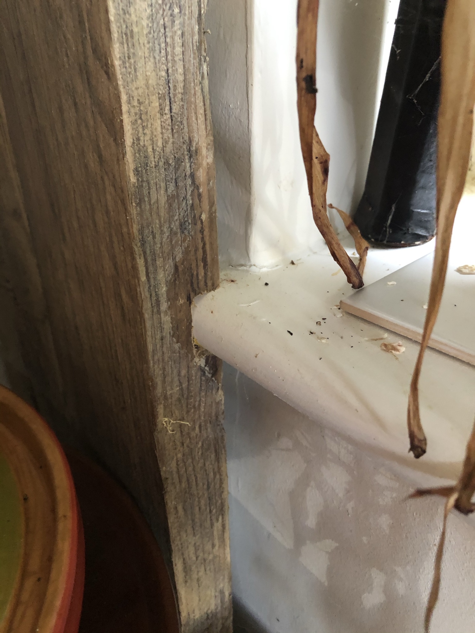 Scaffolding plank dresser and shelving (www.coolupycled.com)